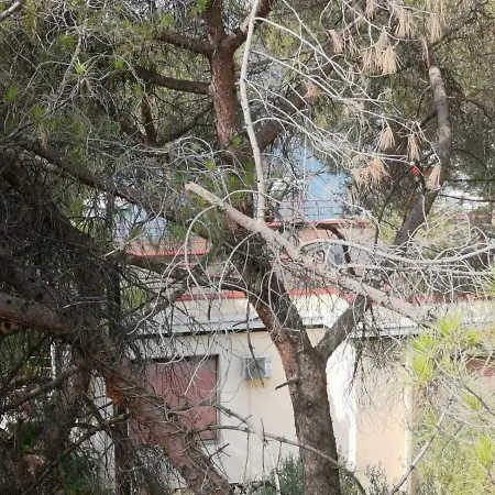 Lucica Apartament Zadar