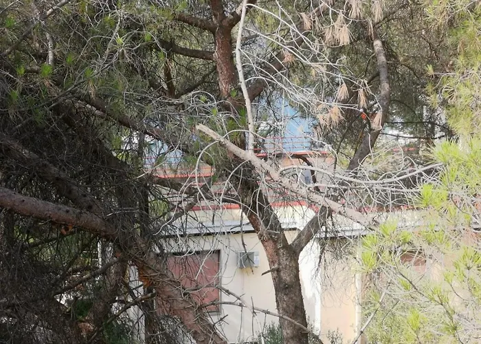 Lucica Lägenhet Zadar